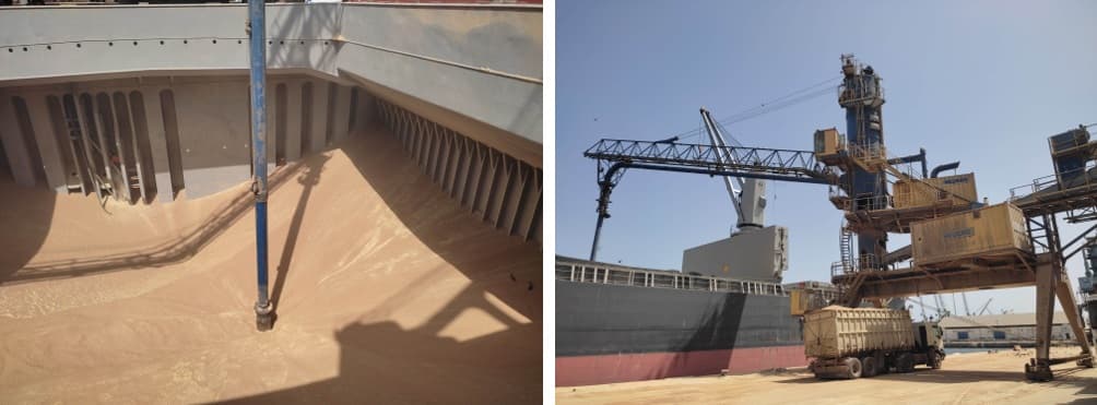 Pneumatic bulk discharger at quayside